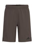 D4T Workout Short Adidas Performance Brown