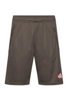 Adidas Train Essentials Logo Training Short Adidas Performance Brown