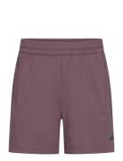 Adidas D4T Yoga Knit Short Adidas Performance Burgundy