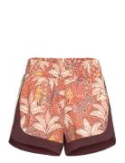 Adidas X Farm Pacer Shorts Adidas Performance Brown