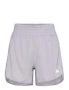 Pacer Essentials Knit High Rise Short Adidas Performance Grey