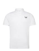 Textured Pique Stripe Polo Castore White