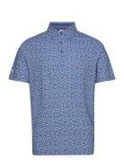 Polaroid Confetti Polo Callaway Blue