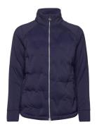 Chev Primaloft Jacket Callaway Navy