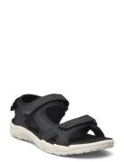 Auguete W Sandal Cruz Black