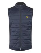 Wadded Golf Gilet Lyle & Scott Sport Navy