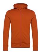 M Mer 260 Quantum Iv Ls Zip Hoodie Icebreaker Brown