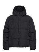 Hco. Guys Outerwear Hollister Black