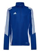 Tiro24 Trtopy Adidas Performance Blue