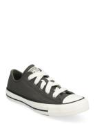 Chuck Taylor All Star Converse Khaki