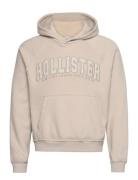 Hco. Guys Sweatshirts Hollister Beige