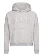 Hco. Guys Sweatshirts Hollister Grey