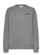 Track Top Tommy Hilfiger Grey