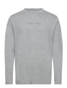 L/S Crew Neck Calvin Klein Grey