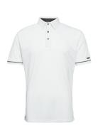 Regent Poloshirt Lexton Links White