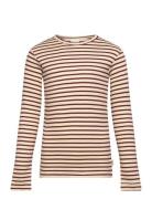 T-Shirt L/S Modal Striped Petit Piao Brown