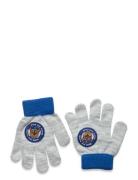 Glovers Paw Patrol Grey