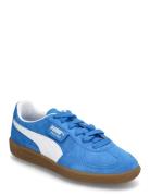 Palermo Jr PUMA Blue