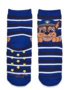 Socks Paw Patrol Blue