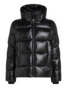 Hooded Quilt Puffer Mw Gloss Calvin Klein Black