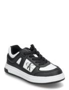 Calvin Klein Jeans Low-Cut Lace-Up Sneaker Calvin Klein Black