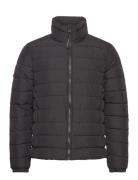 Fuji Emb Padded Jacket Superdry Black