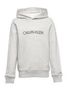 Institutional Logo Hoodie Calvin Klein Grey