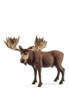 Schleich Moose Bull Schleich Patterned