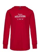 Monotype 1985 Reg Tee Ls Tommy Hilfiger Red