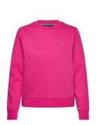 Reg Sweat GANT Pink