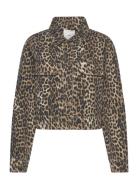 Leopard-Print Denim Jacket Mango Brown