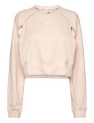 Power Aeroready Crop Cover-Up Sweatshirt Adidas Performance Cream