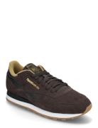 Classic Leather Reebok Classics Brown