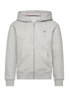 Shield Zip Hoodie GANT Grey