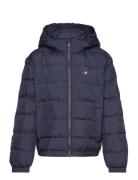 Shield Padded Jacket GANT Navy