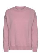 Superfine Lambswool C-Neck GANT Pink