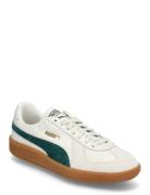 Puma Army Trainer PUMA White