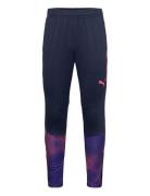 Individualfinal Training Pants PUMA Navy