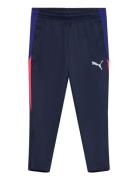 Individualliga Training Pants Jr PUMA Blue