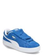 Suede Xl PUMA Blue