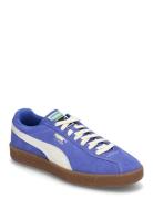 Delphin PUMA Blue