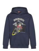 Lwscout 706 - Sweatshirt LEGO Kidswear Navy