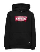 Levi's® Screenprint Batwing Pullover Hoodie Levi's Black