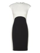 Neoprene Scuba Colorblock Dress Calvin Klein Black