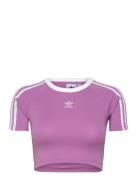 3 S Baby Tee Adidas Originals Purple