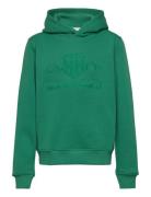 Tonal Shield Hoodie GANT Green