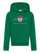 Archive Shield Raglan Hoodie GANT Green