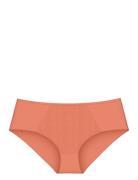 Essential Minimizer T Hipster X Triumph 