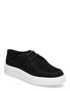 Fayles Sneaker Steve Madden Black