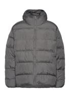 Adidas Originals Tonal Hooded Puffer Adidas Originals Grey